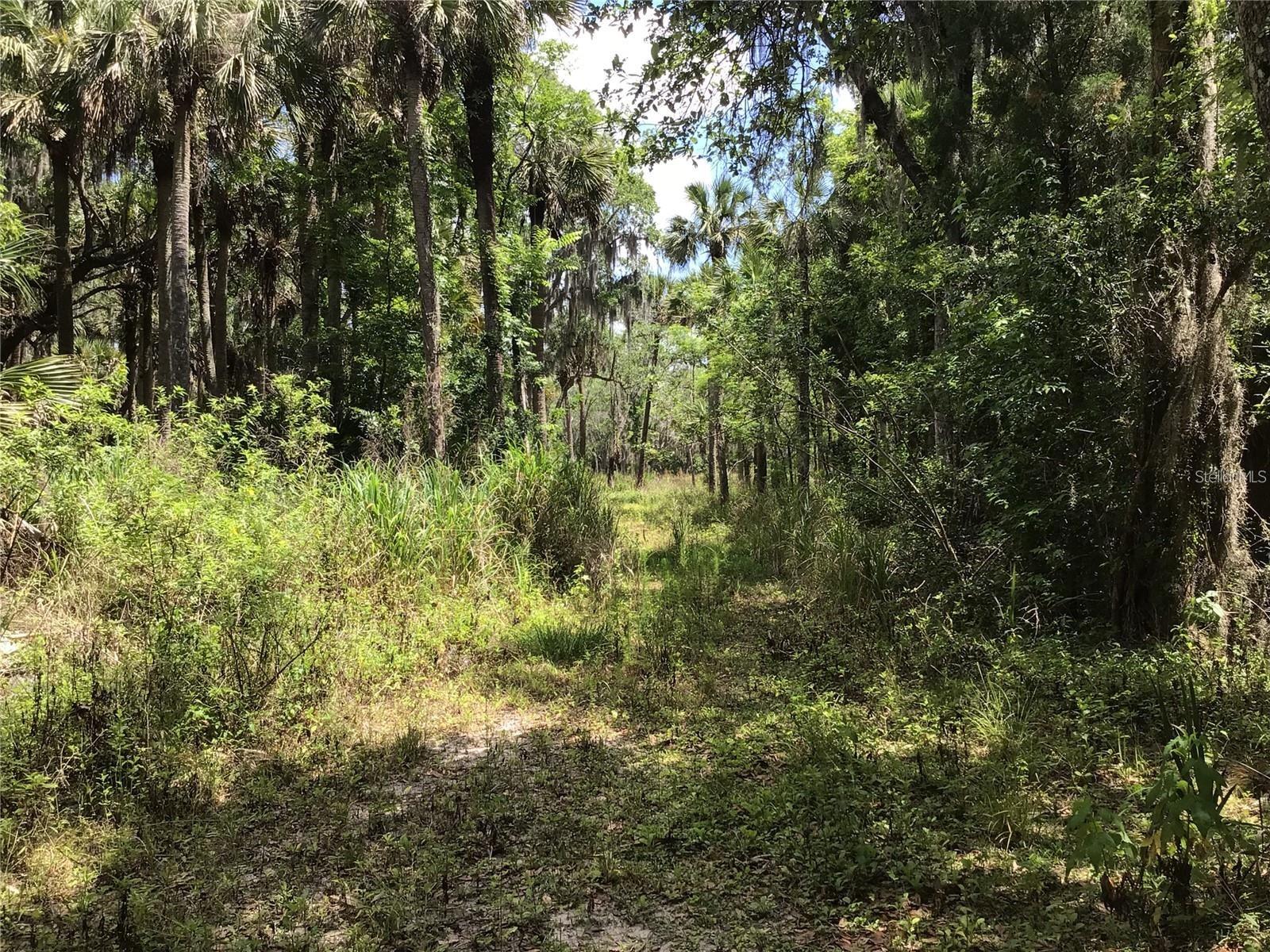 S MELLONVILLE AVE, SANFORD, FL — photo 19