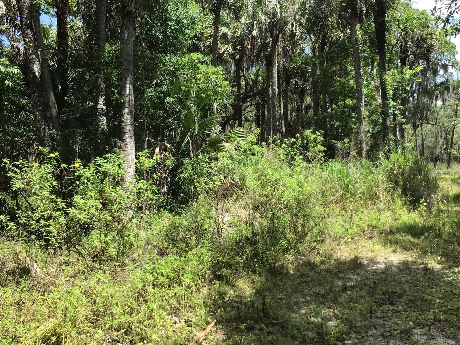 S MELLONVILLE AVE, SANFORD, FL — photo 20