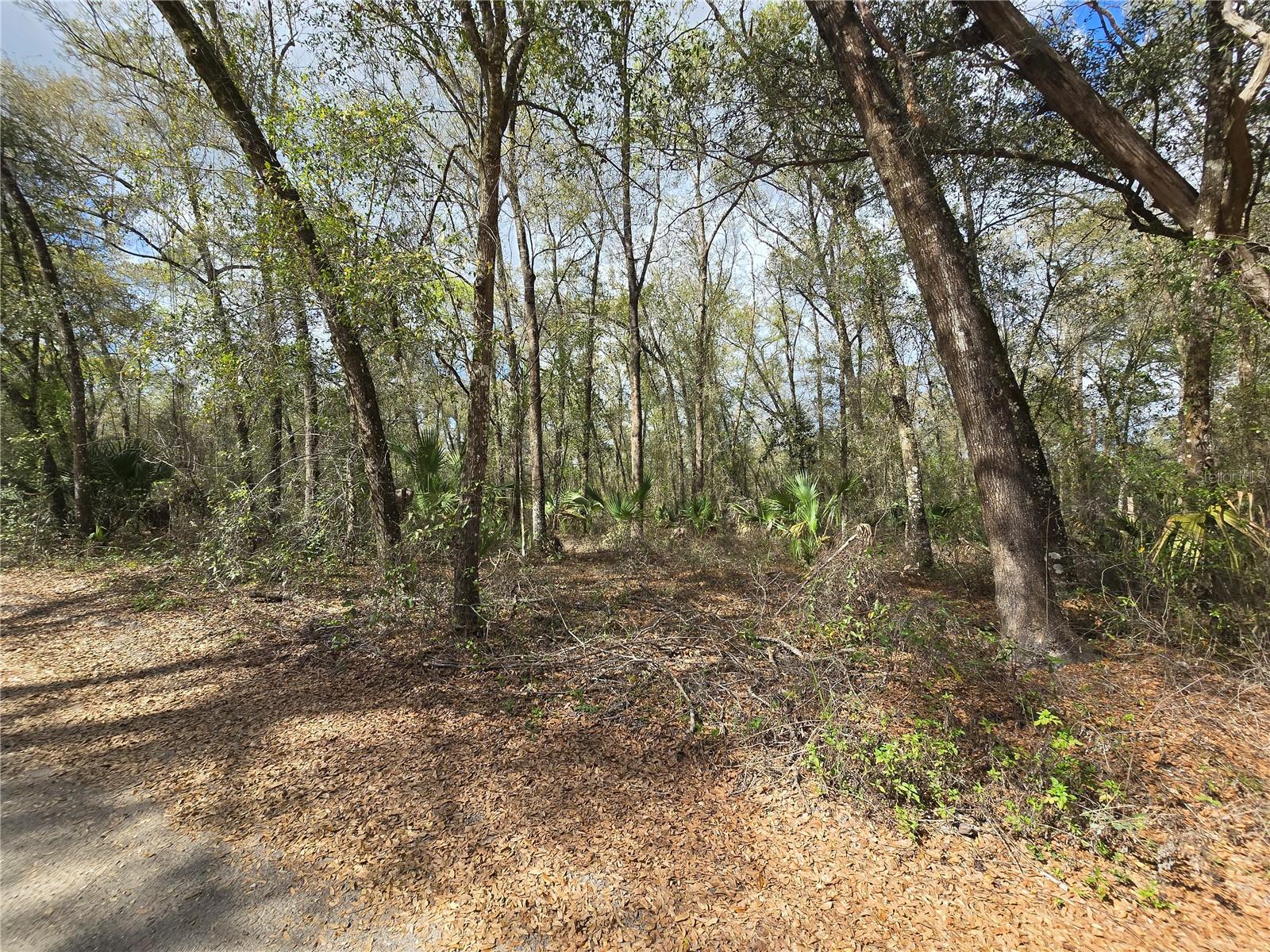 BRIGHT WAY, DELAND, FL — photo 16