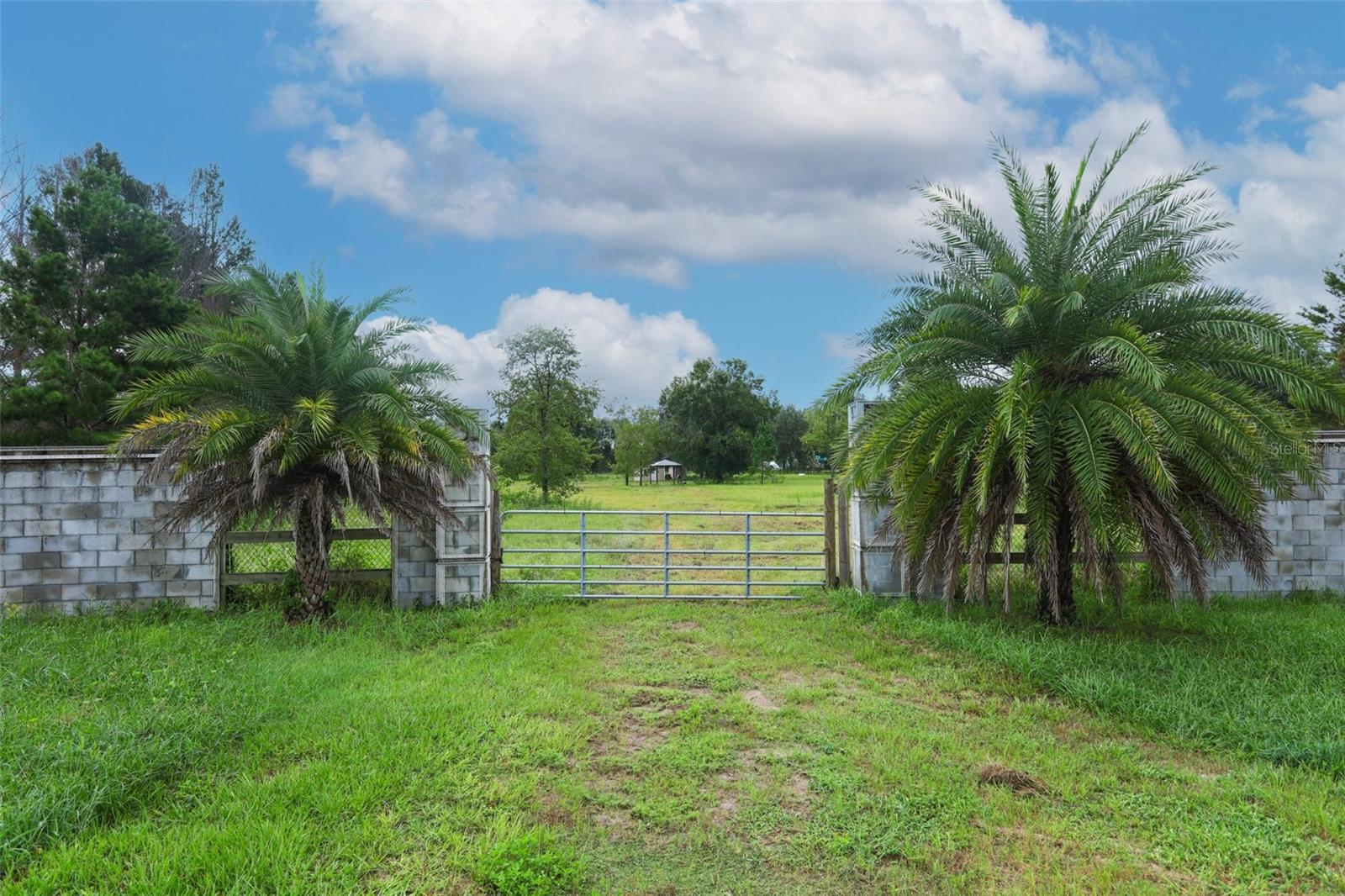 34534 TREE FROG LN, EUSTIS, FL — photo 5