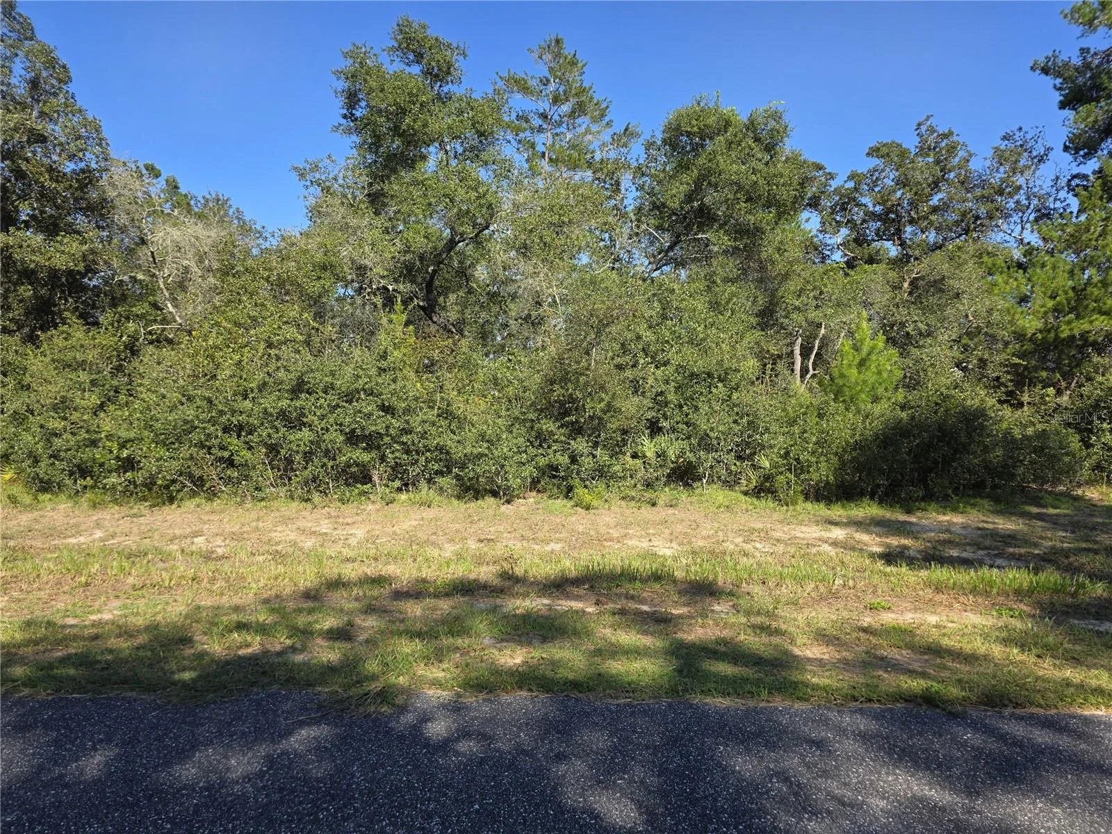 0 SW 21 LN, OCALA, FL — photo 4