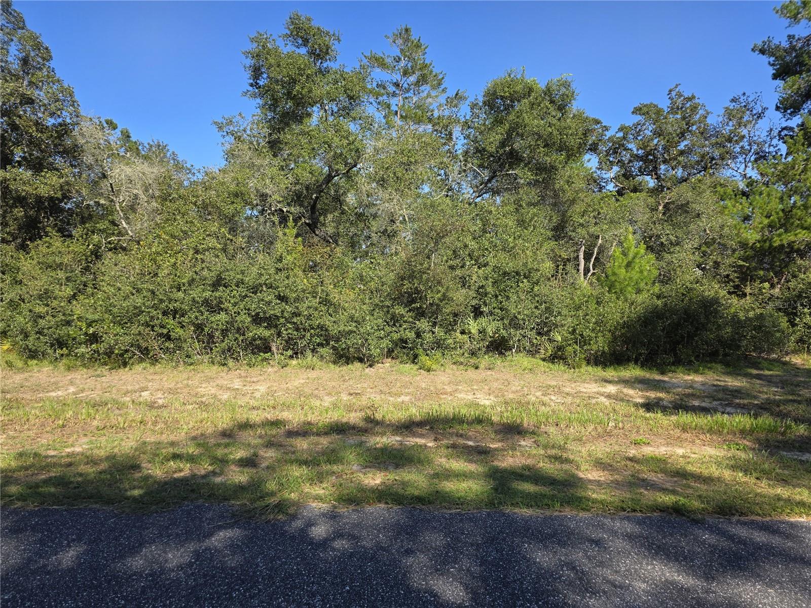 0 SW 21 LN, OCALA, FL — photo 3