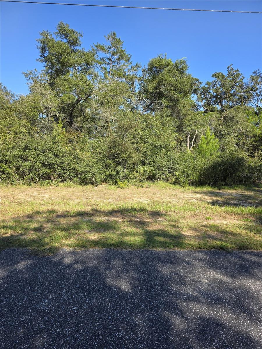 0 SW 21 LN, OCALA, FL — photo 5