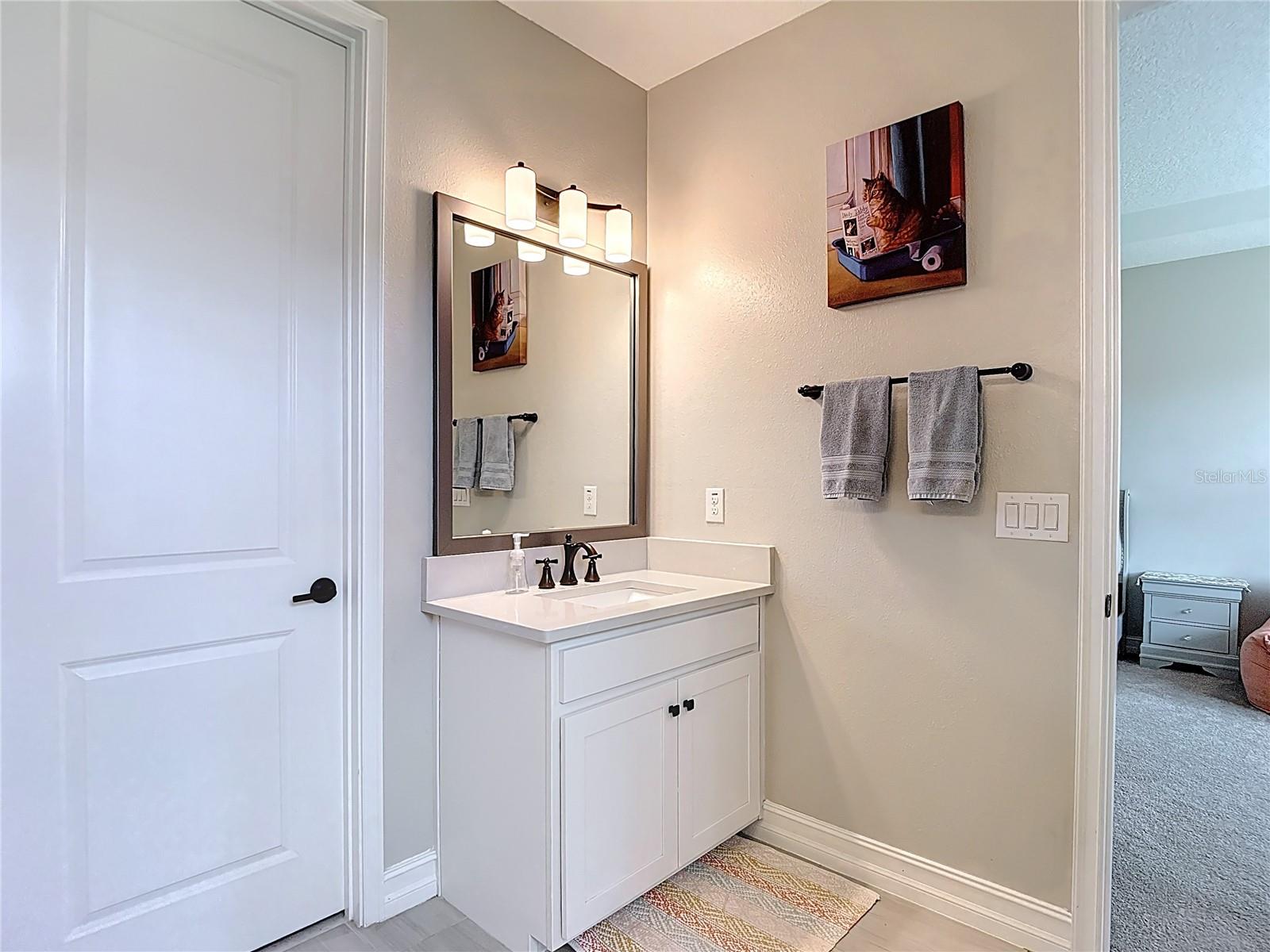 4868 SAN MARTINO DR, WESLEY CHAPEL, FL — photo 40