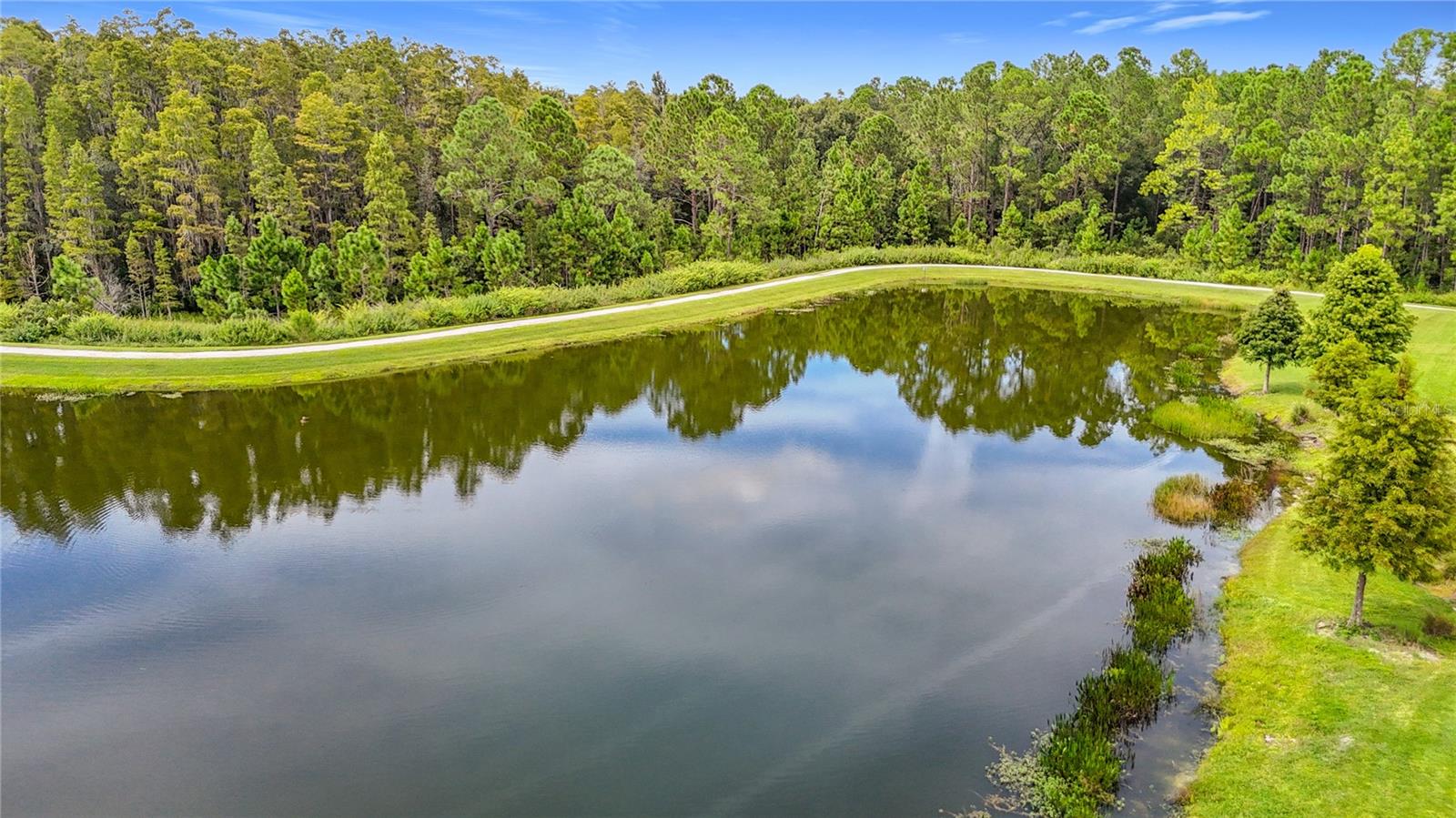 4868 SAN MARTINO DR, WESLEY CHAPEL, FL — photo 46