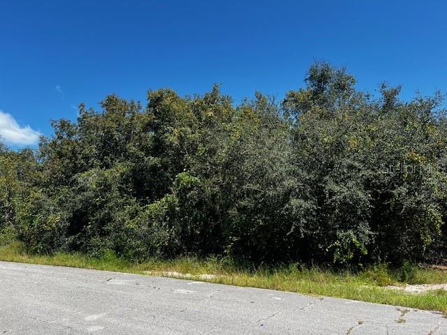 1229 BALTIC DR, POINCIANA, FL — photo 4