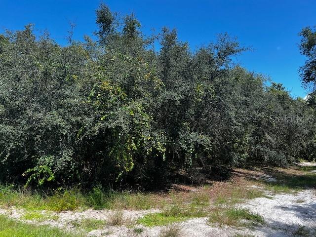 1229 BALTIC DR, POINCIANA, FL — photo 5