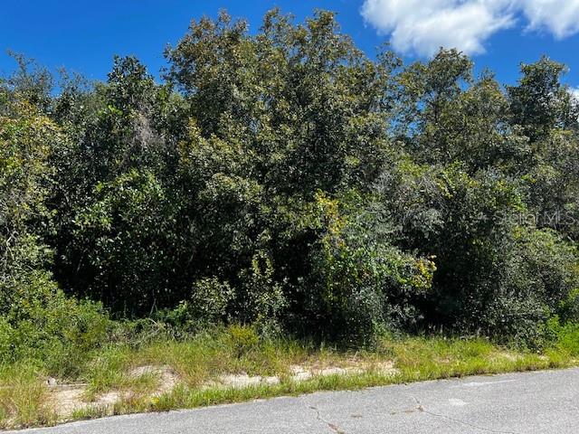 1229 BALTIC DR, POINCIANA, FL — photo 7