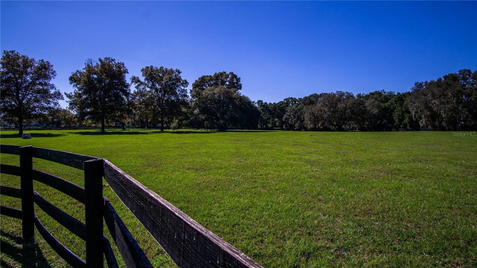 1198 SW 104TH STREET RD, OCALA, FL — photo 88