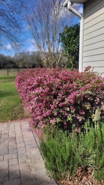 1198 SW 104TH STREET RD, OCALA, FL — photo 89