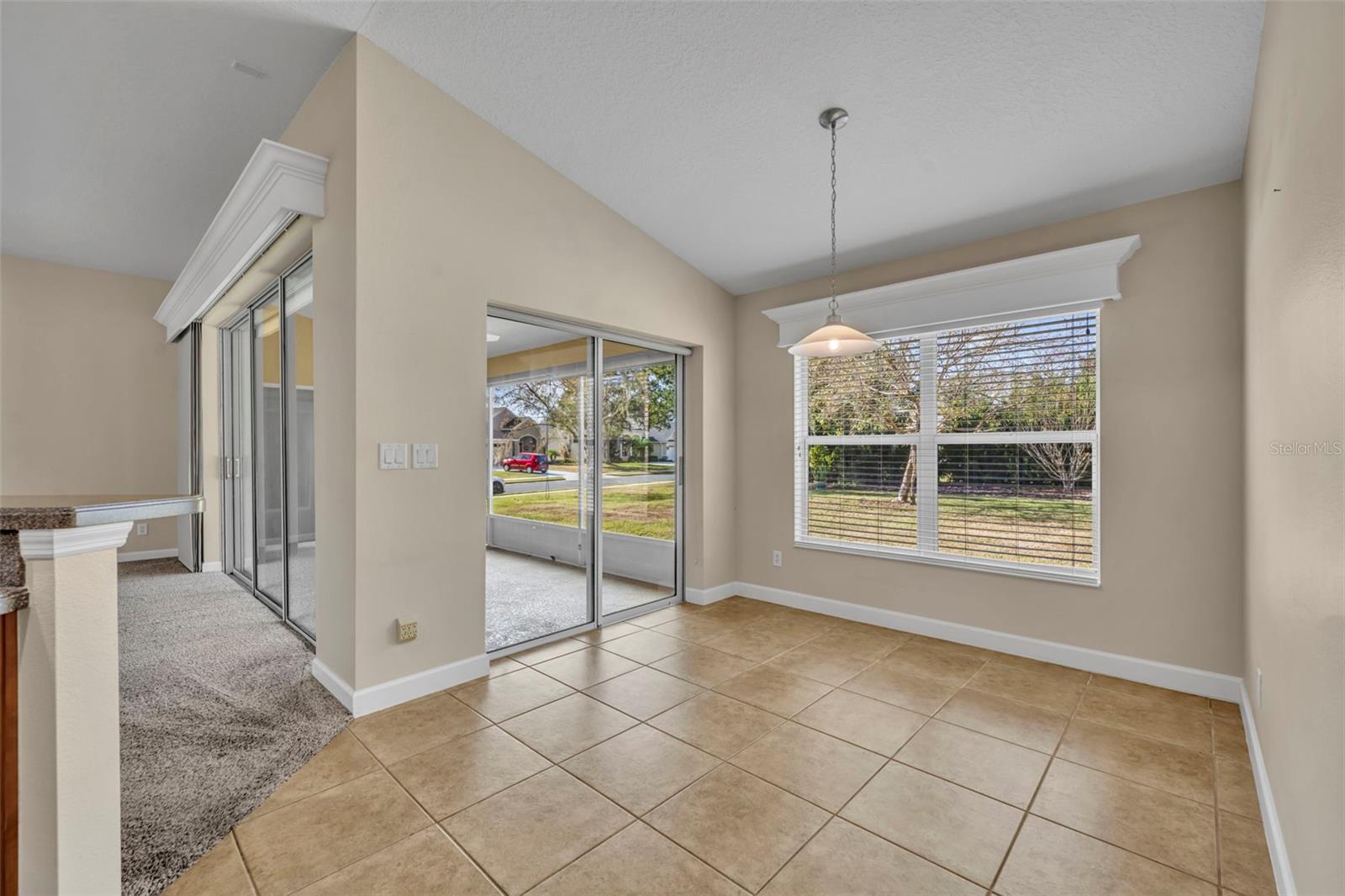 8923 BRIDGEPORT BAY CIR, MOUNT DORA, FL — photo 38