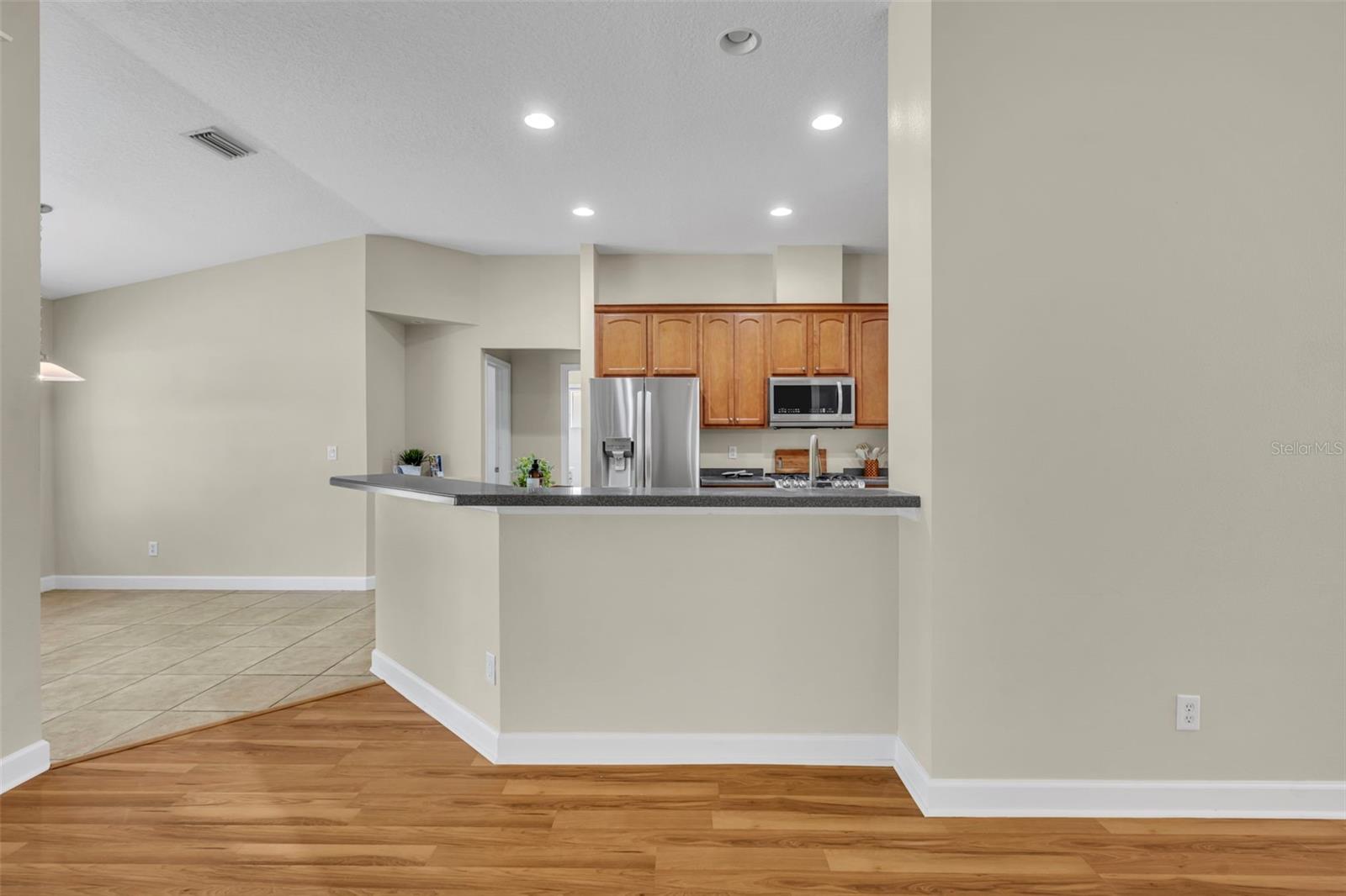 8923 BRIDGEPORT BAY CIR, MOUNT DORA, FL — photo 24