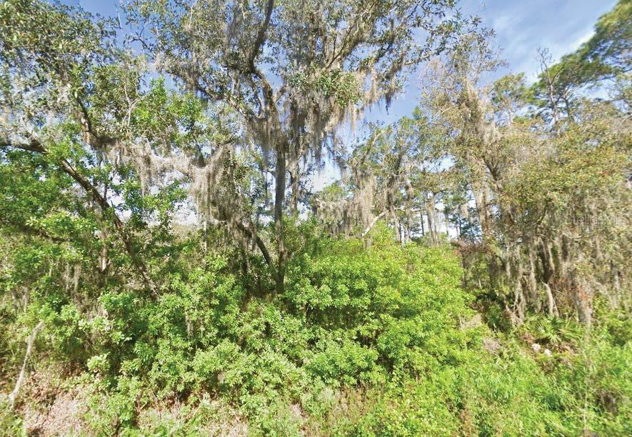 119 TEMPLE AVE, CRESCENT CITY, FL