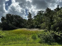 0 DOHERTY DR — photo 4