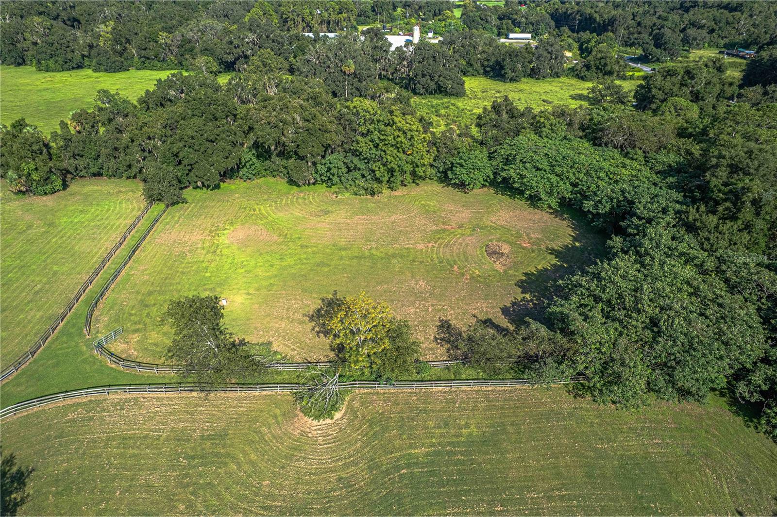 12615 NW GAINESVILLE RD, REDDICK, FL — photo 84