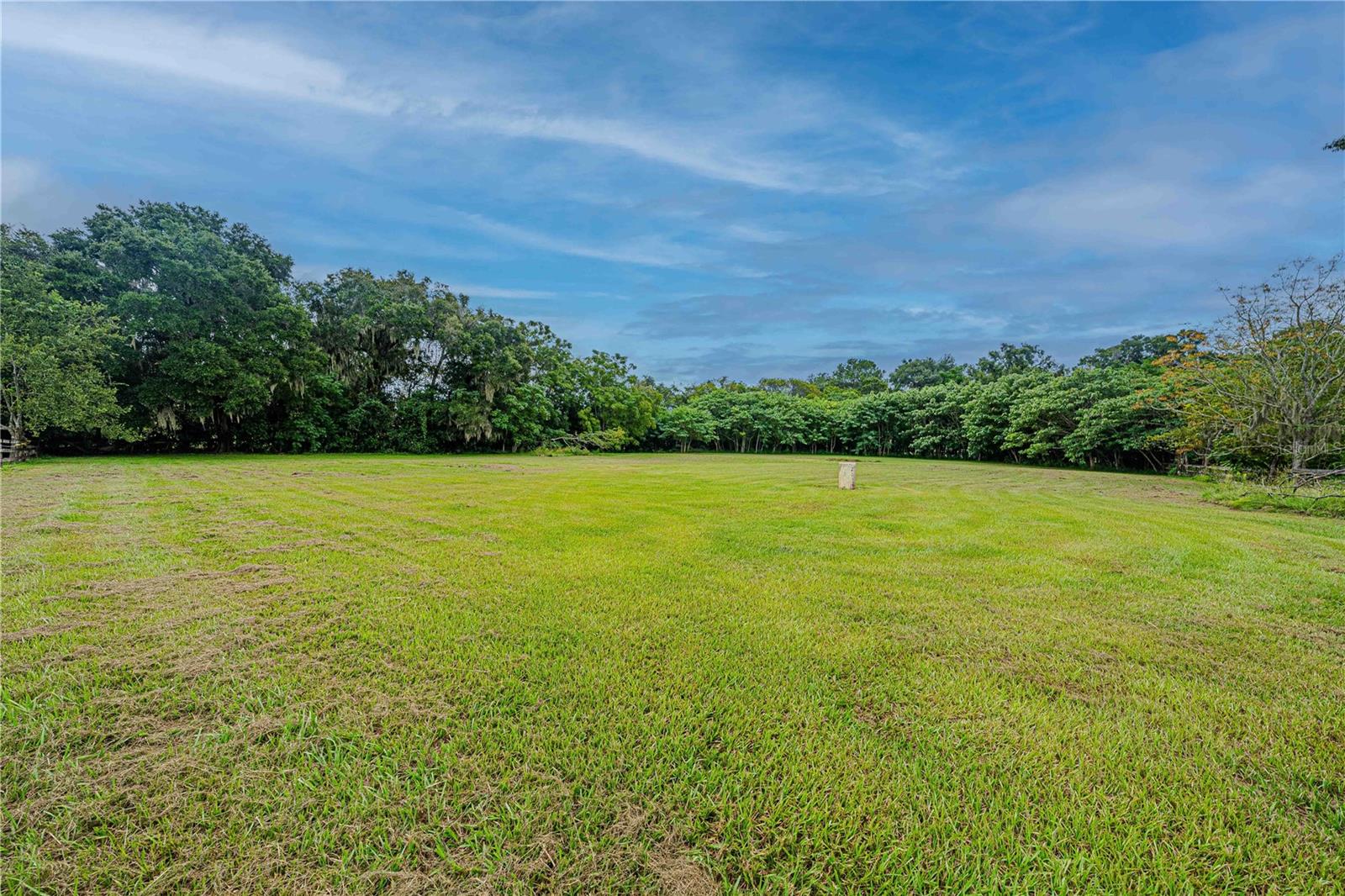 12615 NW GAINESVILLE RD, REDDICK, FL — photo 55