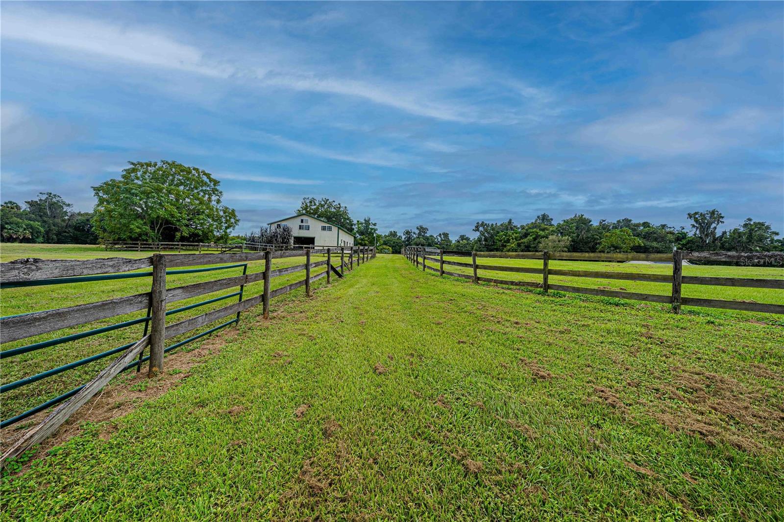 12615 NW GAINESVILLE RD, REDDICK, FL — photo 60