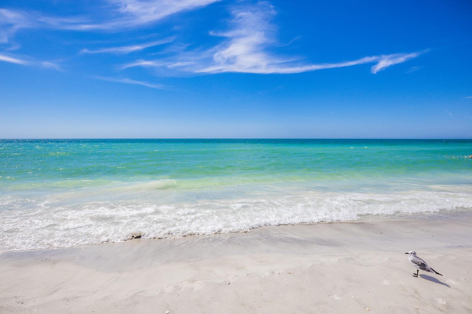 847 EVERGREEN WAY, LONGBOAT KEY, FL — photo 26