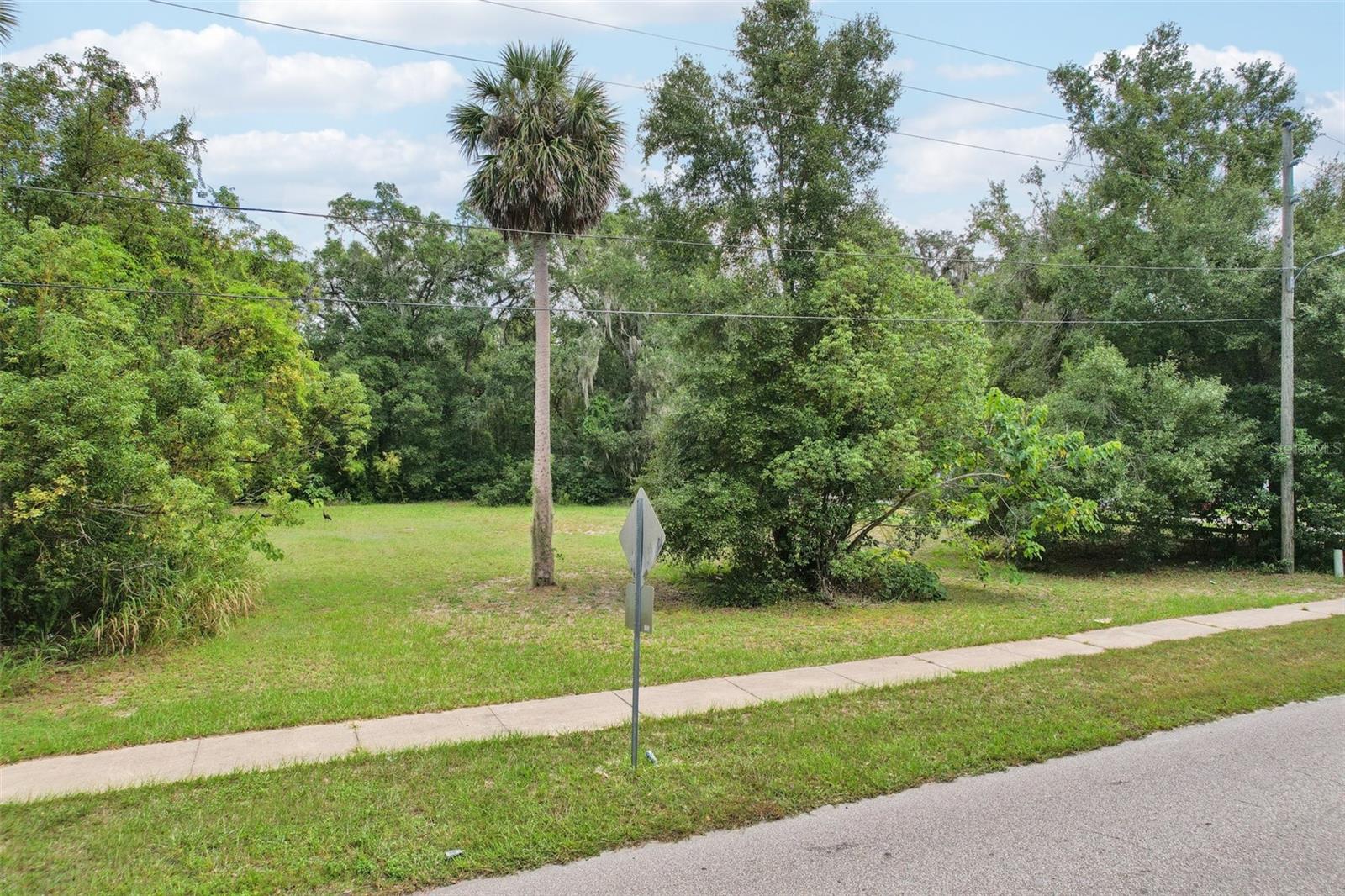 847 PALMETTO ST, EUSTIS, FL — photo 7