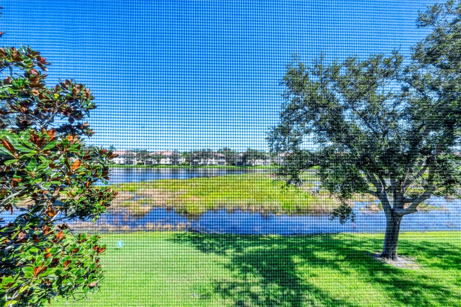 4206 VICENZA DR #C24, VENICE, FL — photo 30