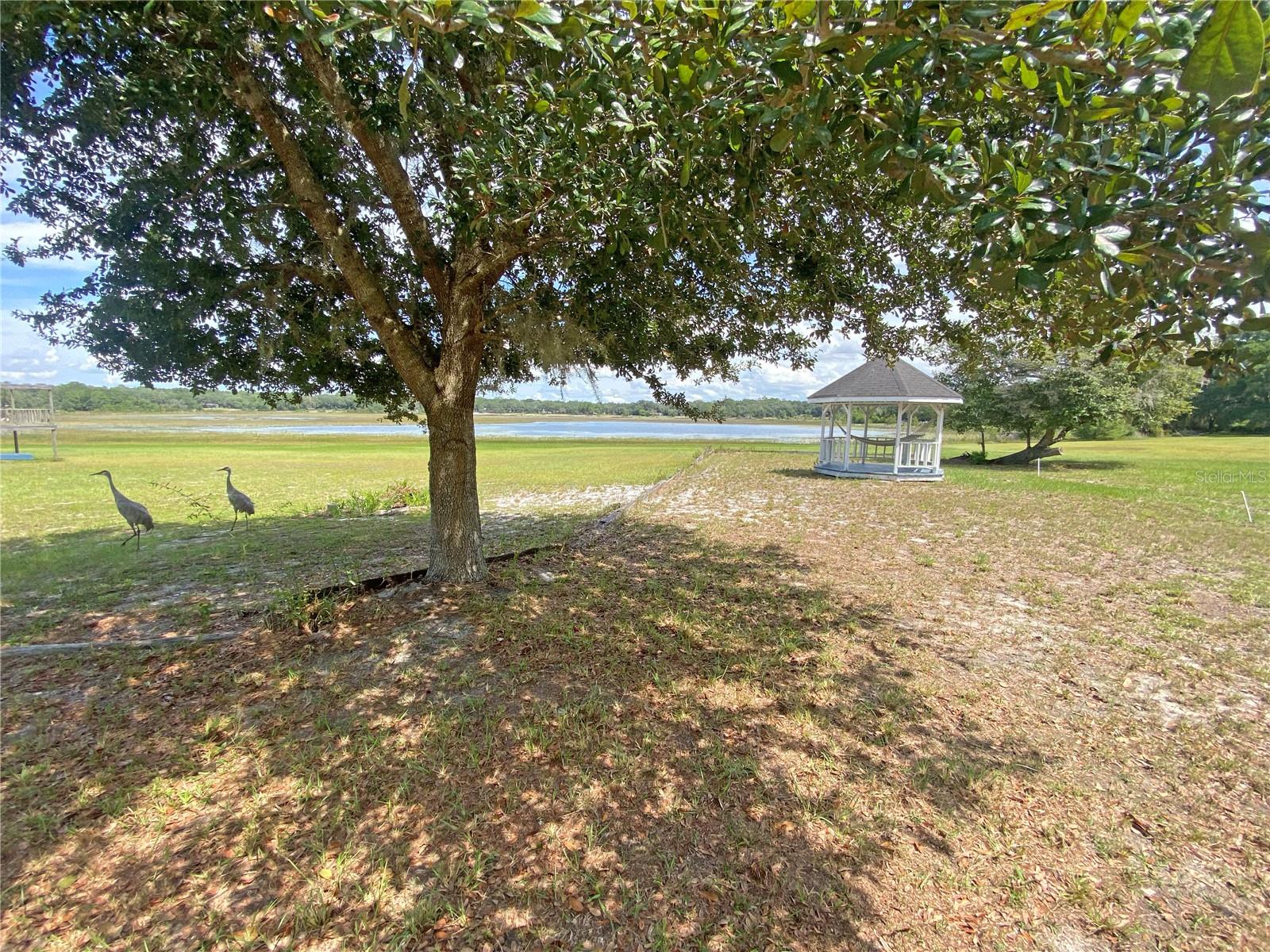 148 SWAN LAKE DR, MELROSE, FL — photo 26