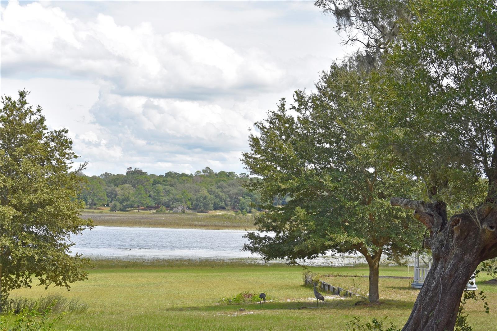 148 SWAN LAKE DR, MELROSE, FL — photo 30