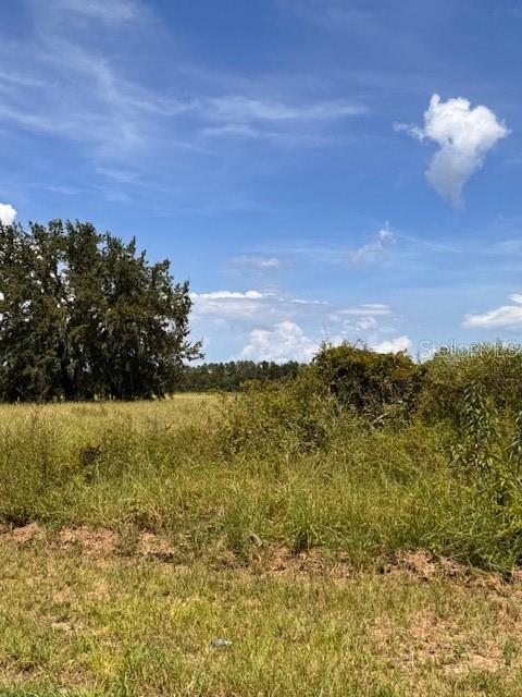 HAYWOOD WORM FARM RD, LEESBURG, FL — photo 17