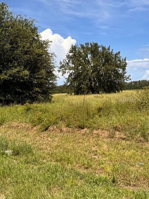 HAYWOOD WORM FARM RD, LEESBURG, FL — photo 19