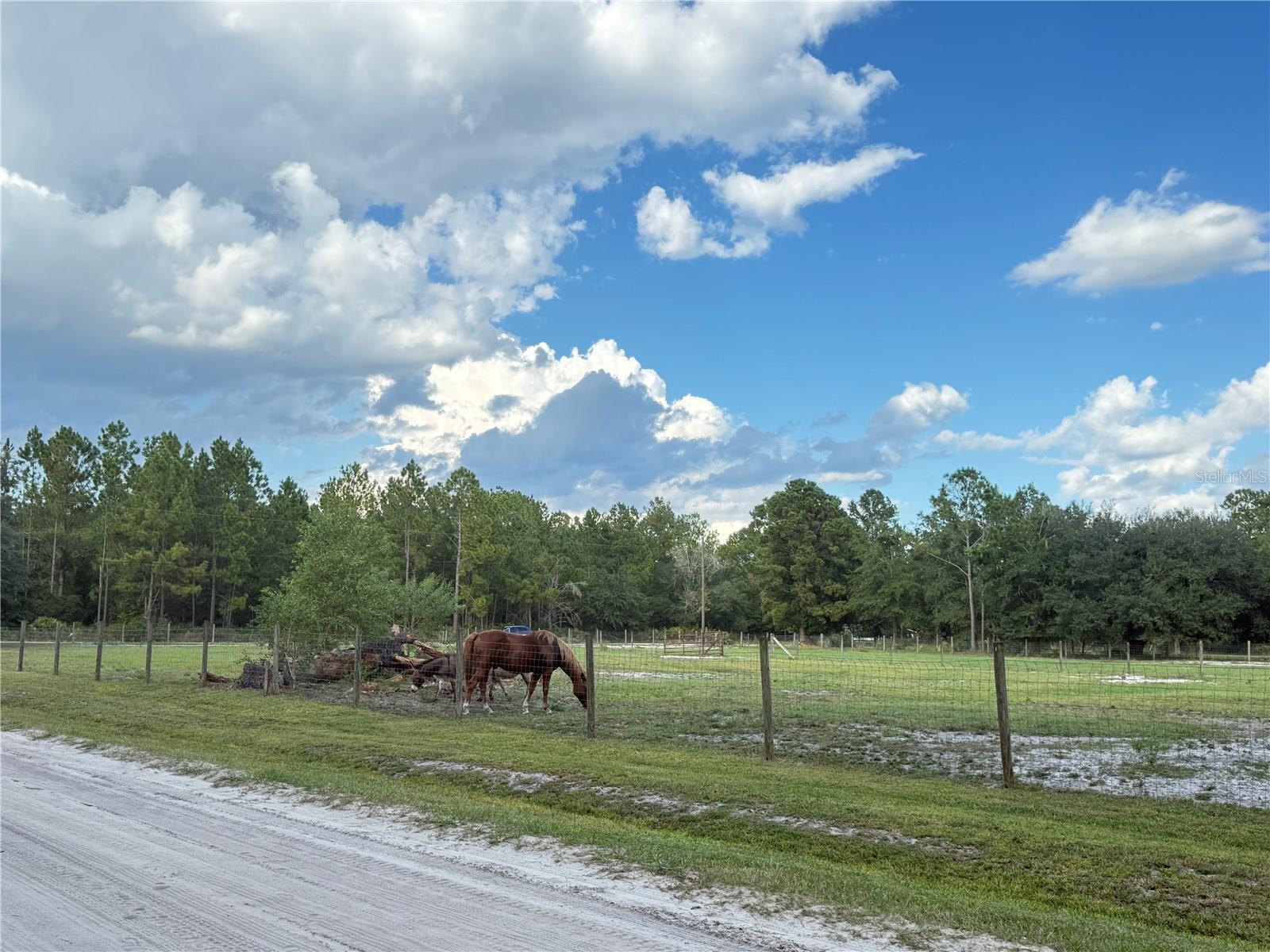 4334 LORI LOOP RD, KEYSTONE HEIGHTS, FL — photo 7