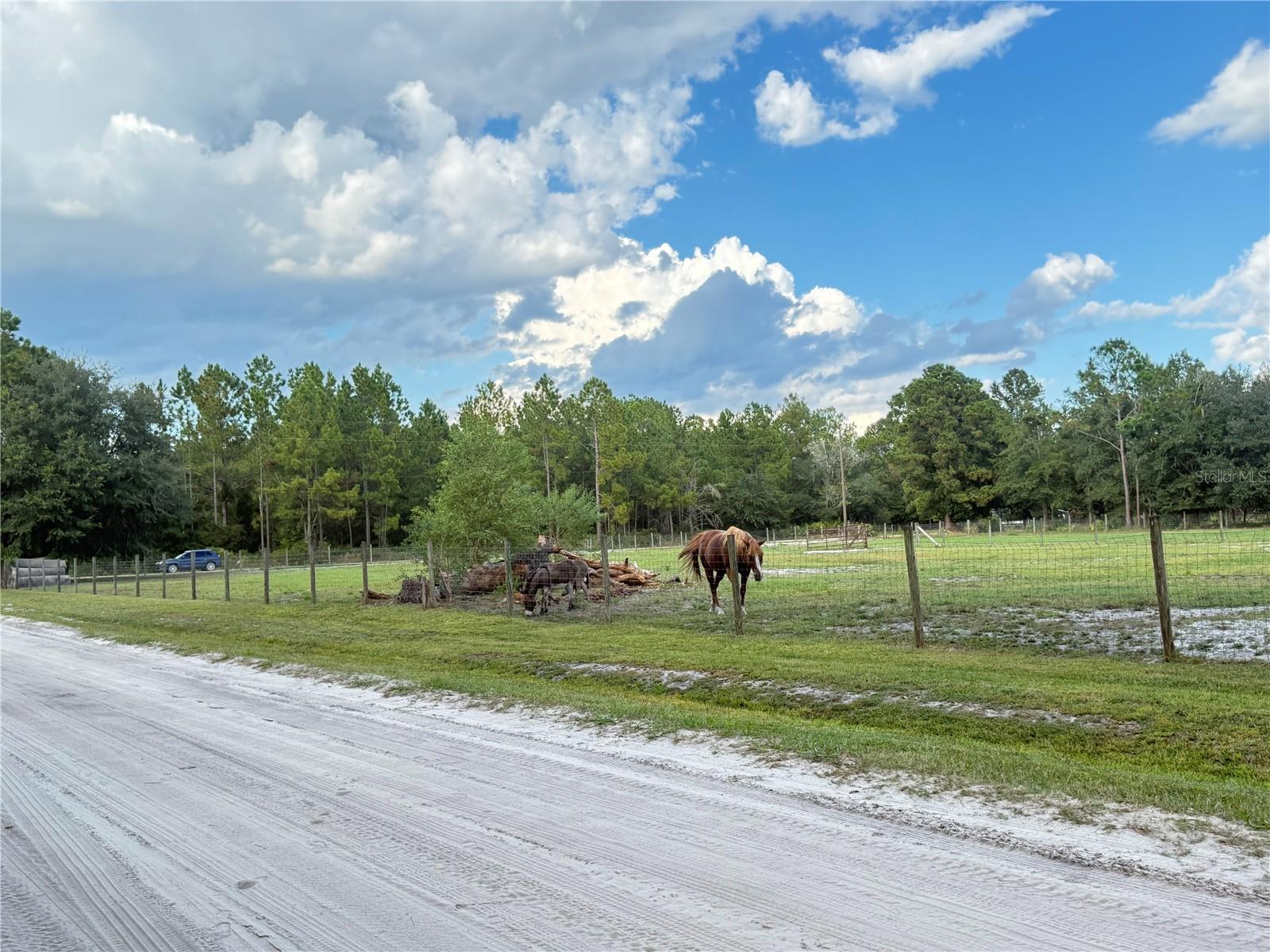 4334 LORI LOOP RD, KEYSTONE HEIGHTS, FL — photo 8