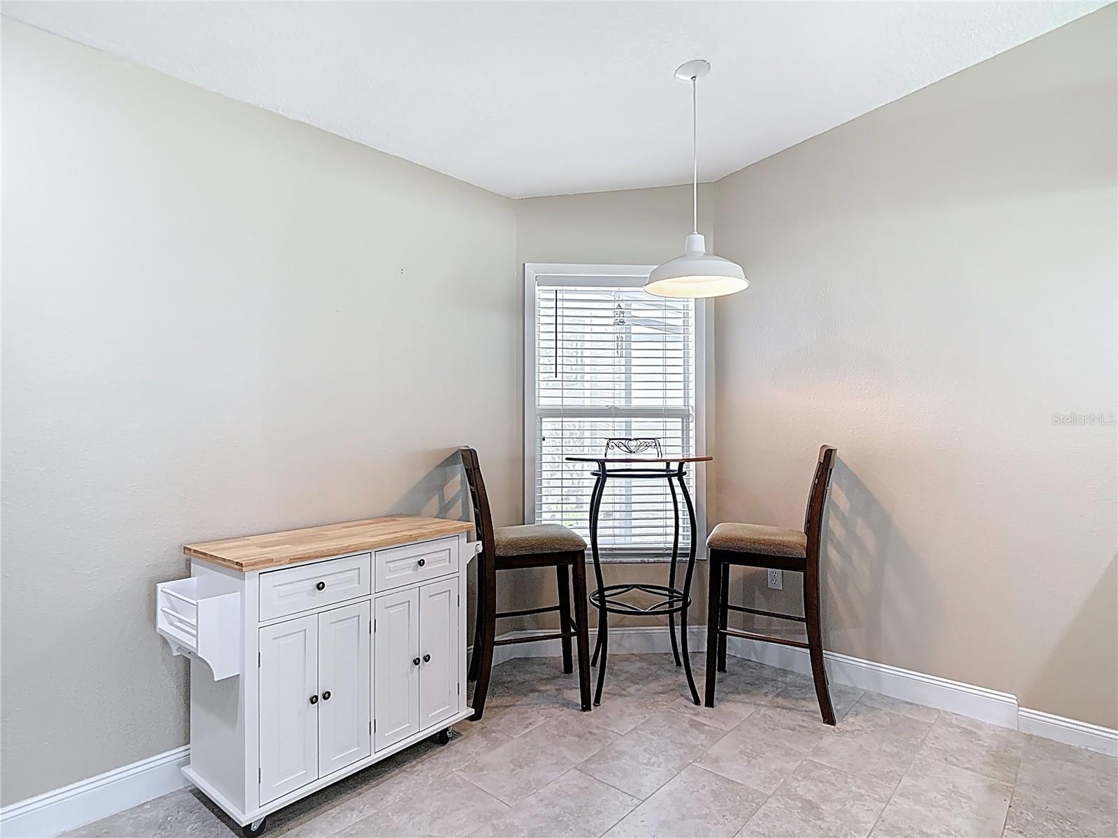 11205 COREY PAVIN LN, SAN ANTONIO, FL — photo 10