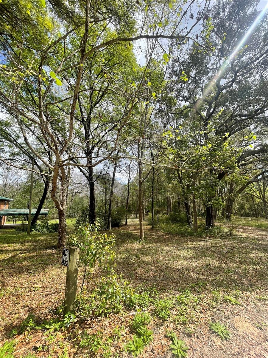 121 SWEET GUM DR, MELROSE, FL — photo 9