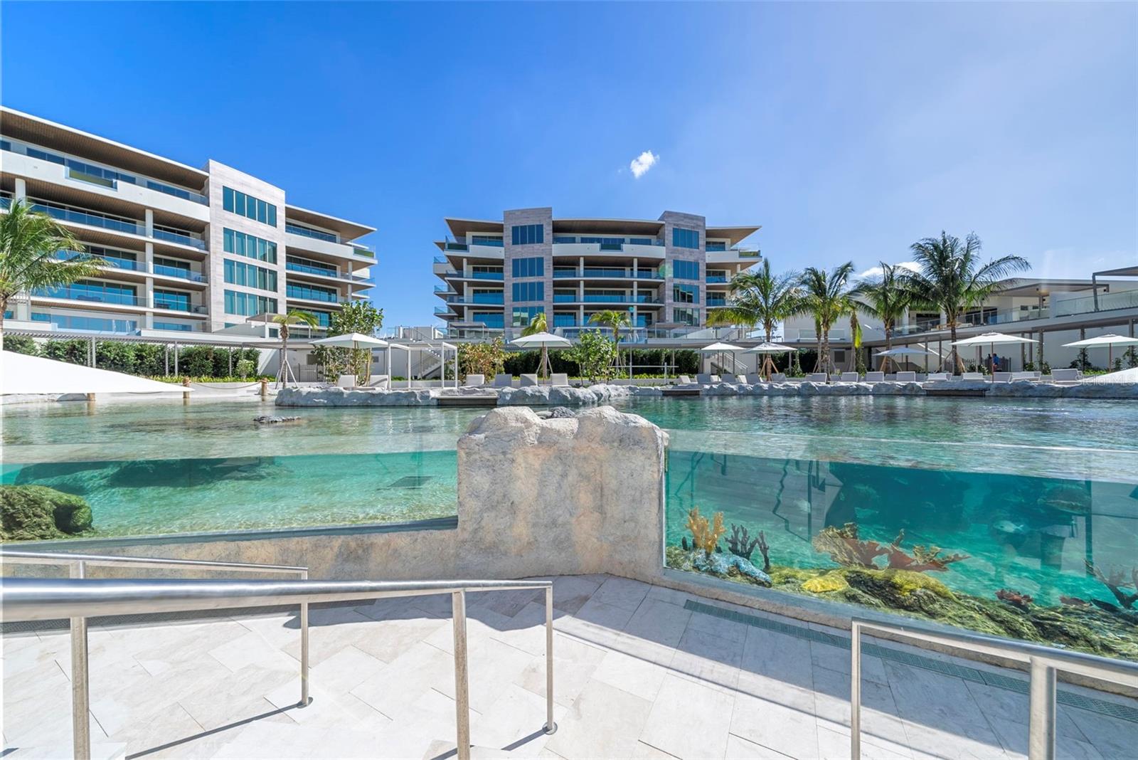 1591 GULF OF MEXICO DR #216, LONGBOAT KEY, FL — photo 66