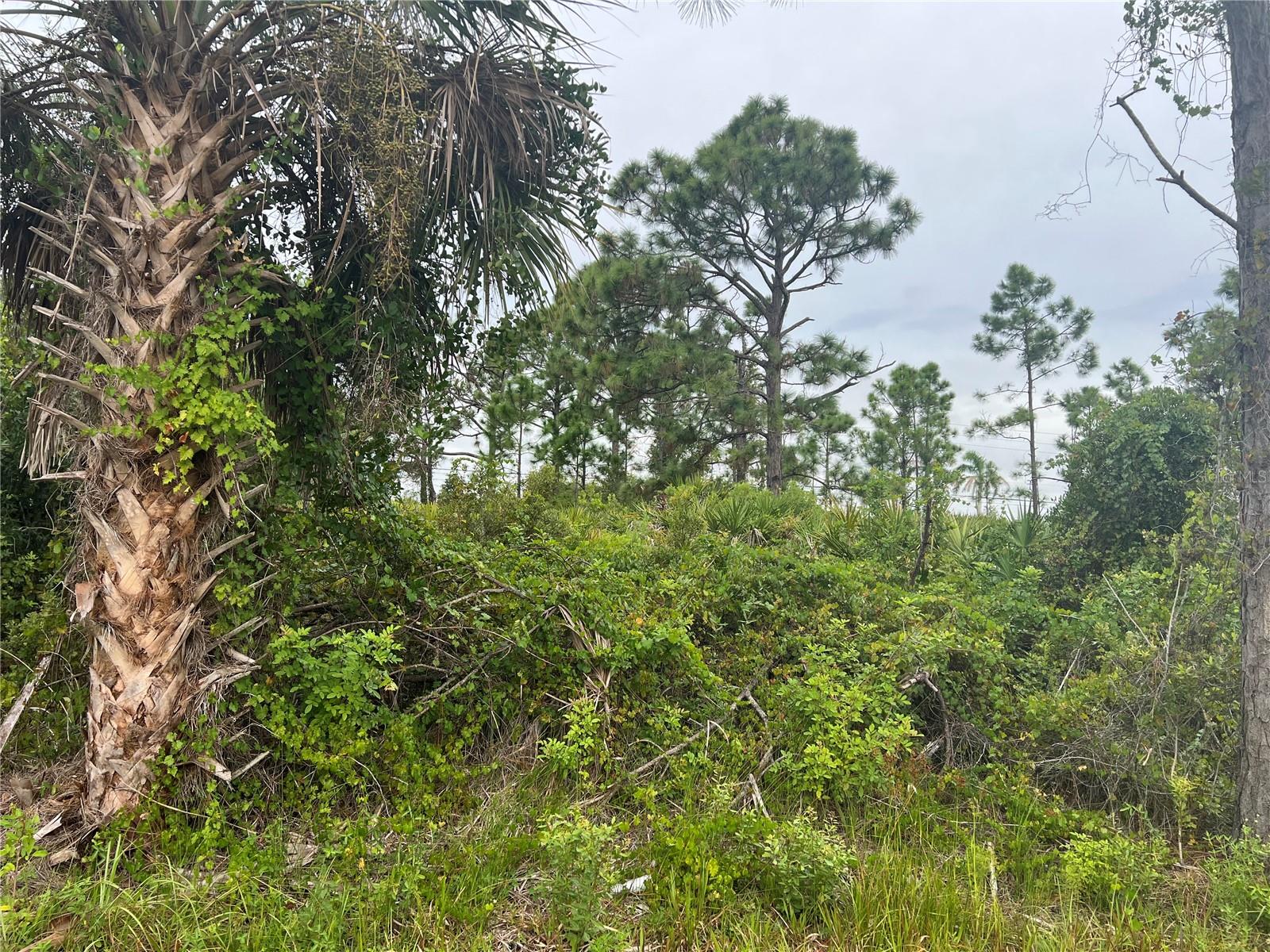 8185 DIMSTEAD ST, PORT CHARLOTTE, FL