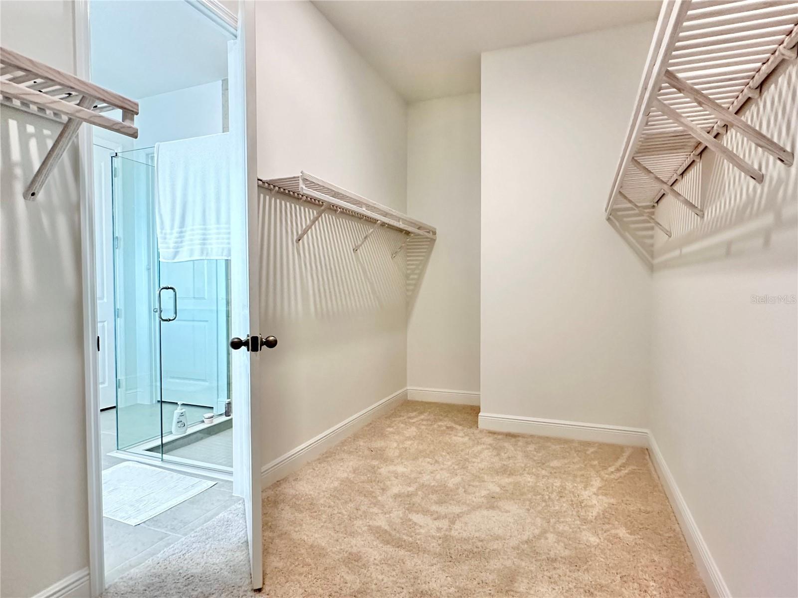 17552 LAKE STAR RD, WINTER GARDEN, FL — photo 26