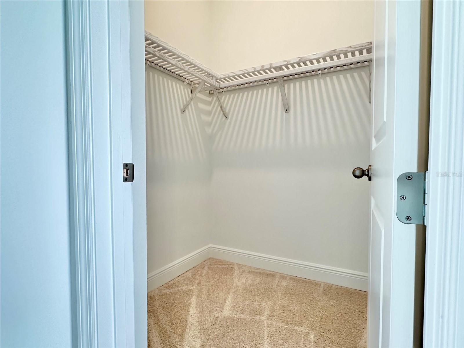17552 LAKE STAR RD, WINTER GARDEN, FL — photo 37