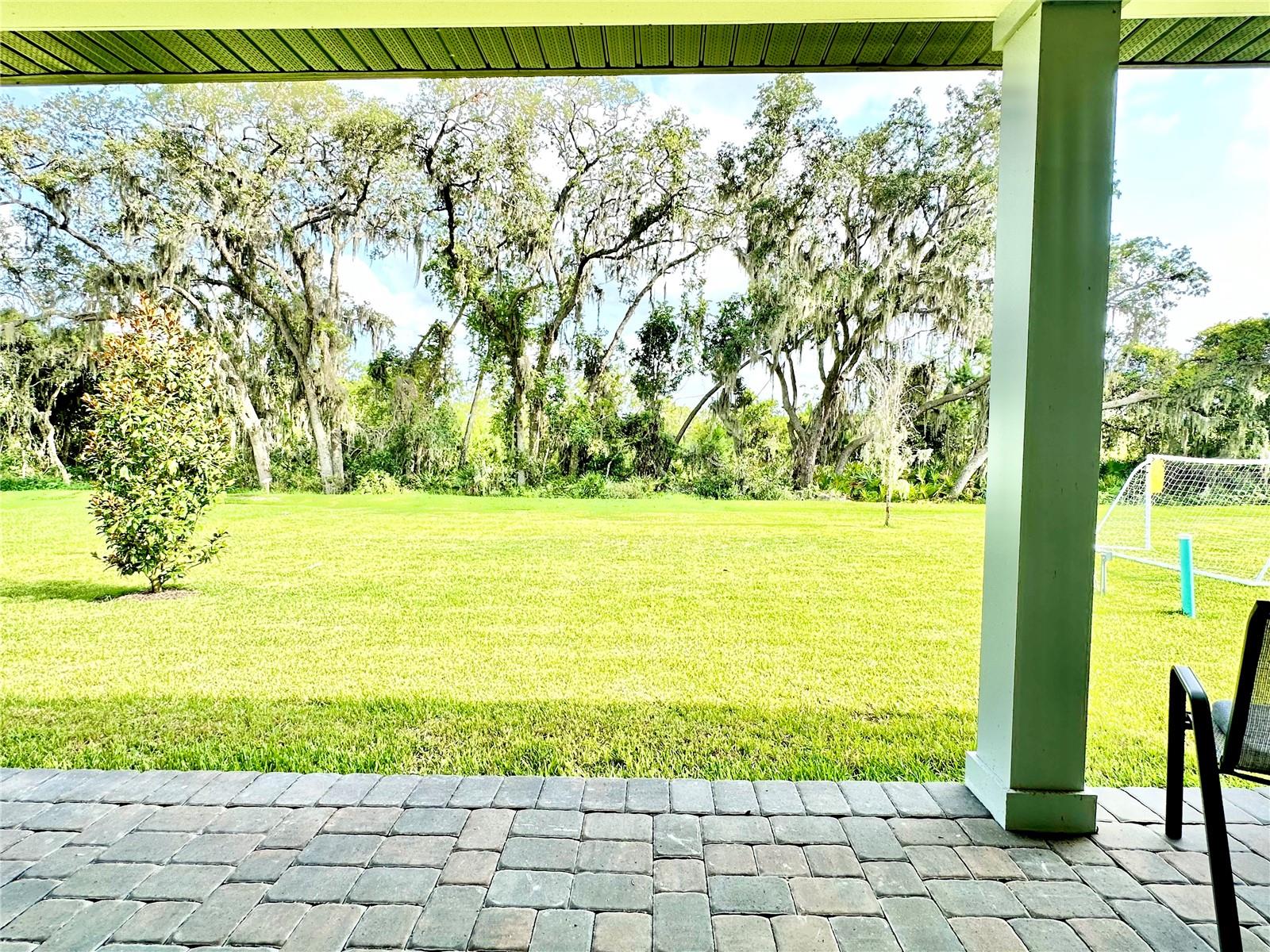 17552 LAKE STAR RD, WINTER GARDEN, FL — photo 50