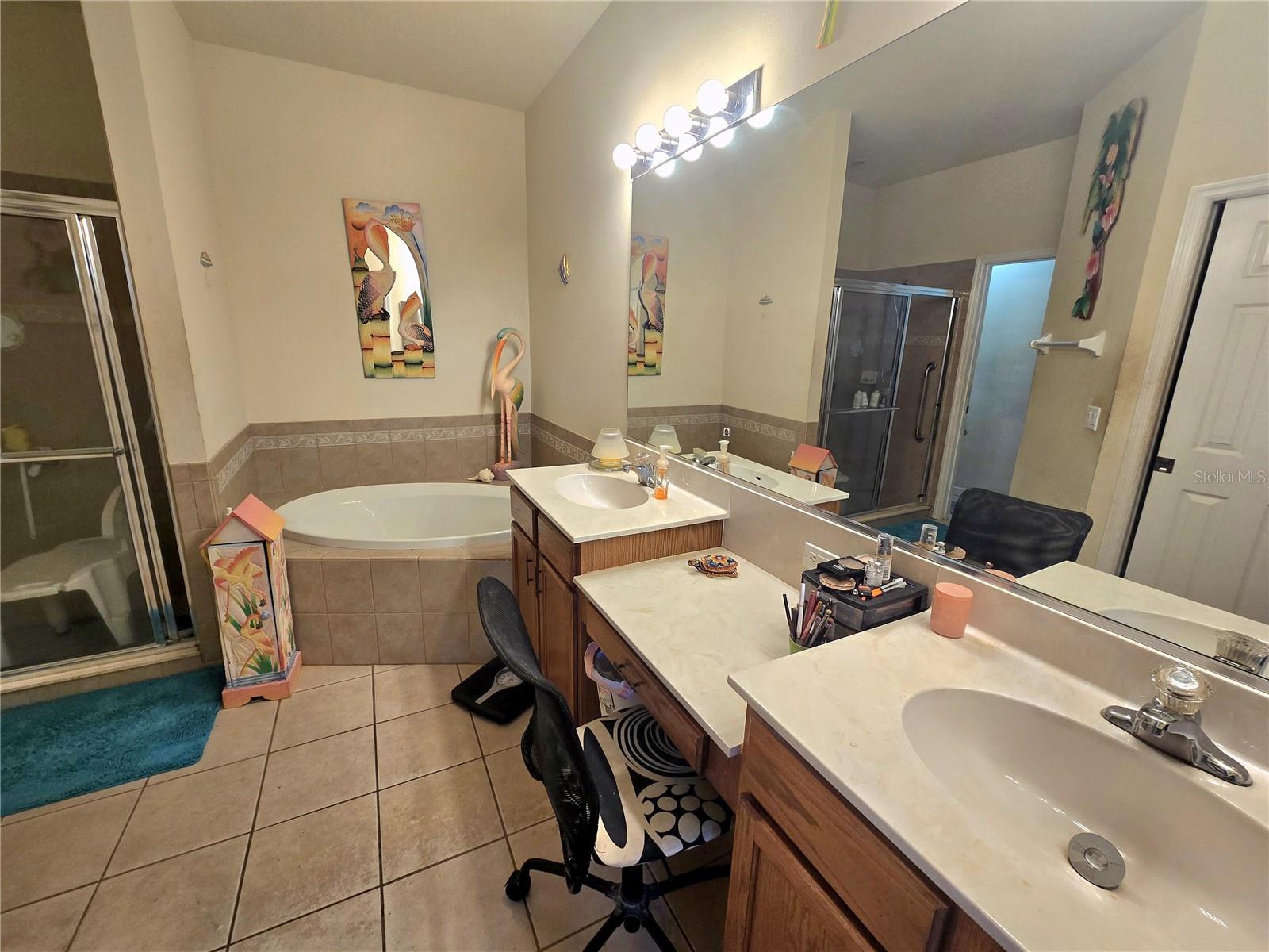 9007 VISTA VERDE DR, PALMETTO, FL — photo 51