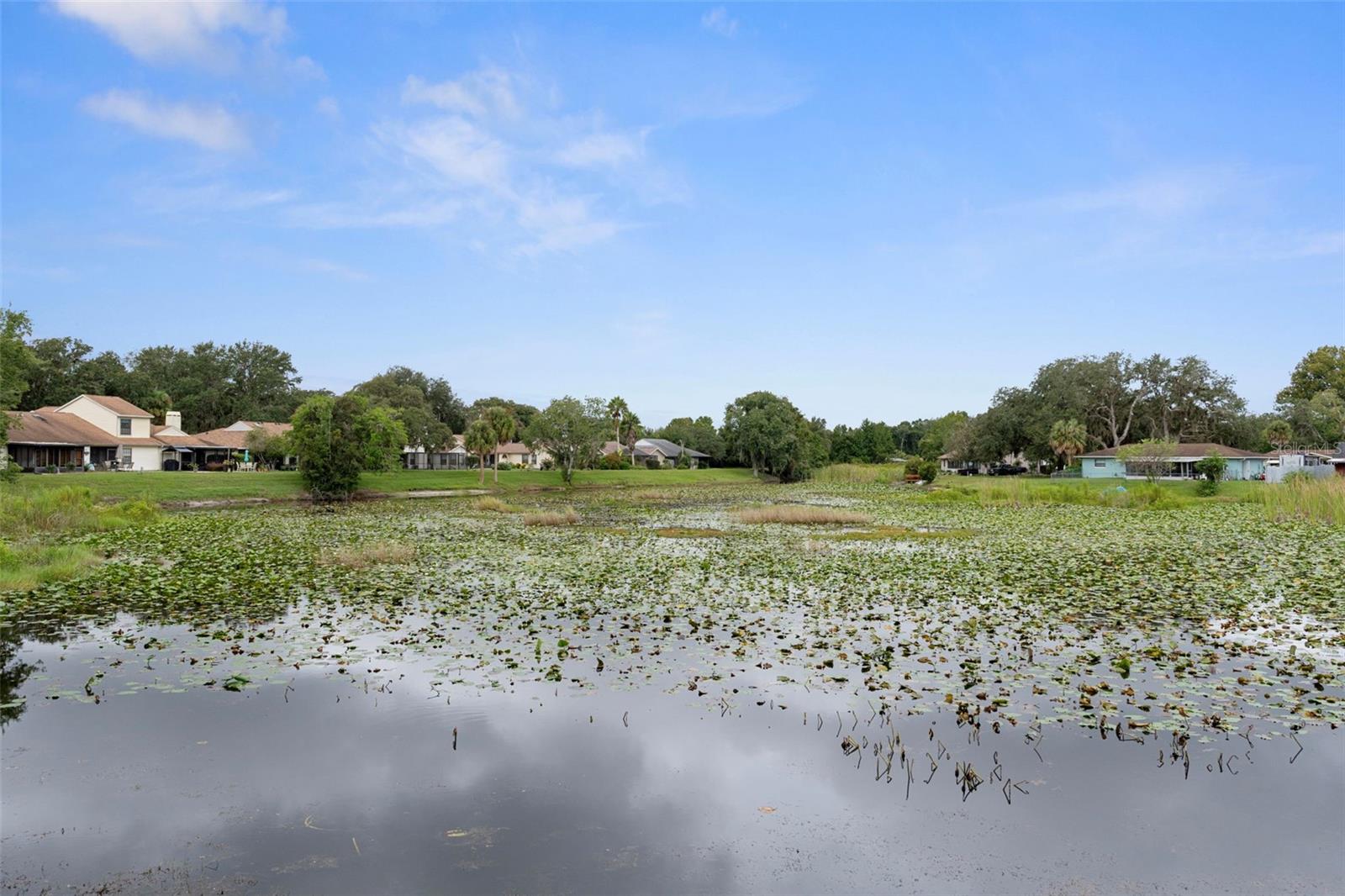76 S HERON CREEK LOOP, INVERNESS, FL — photo 41