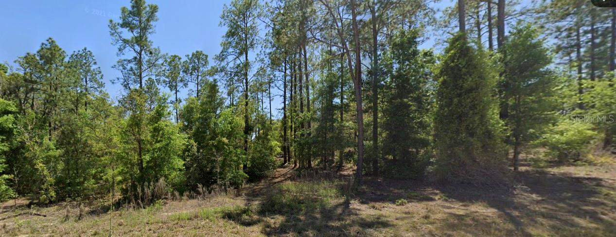 SE 5TH PL, WILLISTON, FL