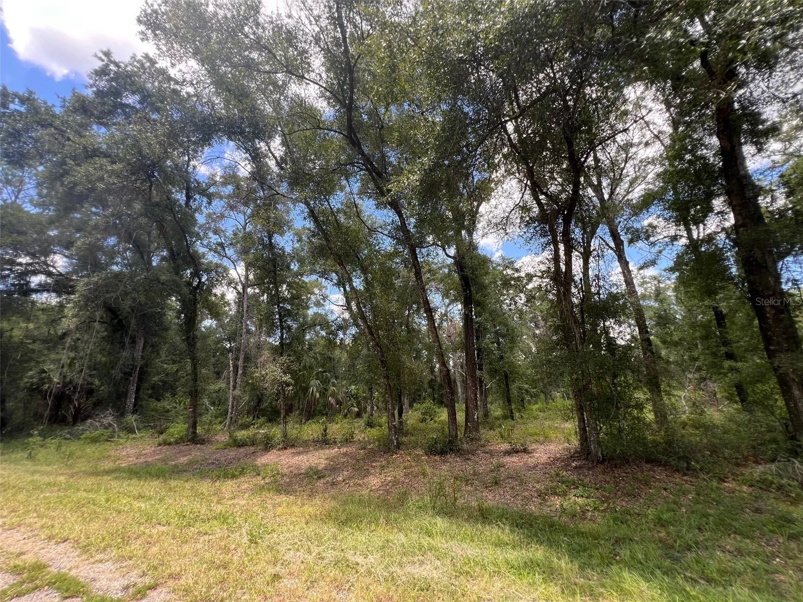 1628 E DERBY DR, DUNNELLON, FL — photo 3