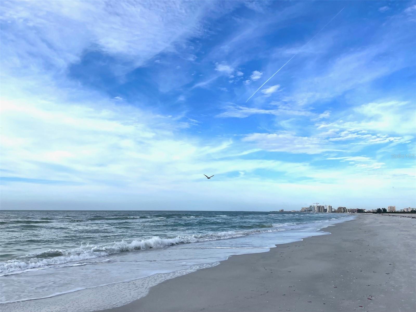 1230 GULF BLVD #508, CLEARWATER BEACH, FL — photo 10