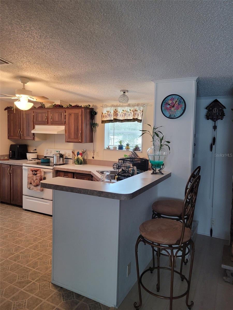 12950 SE 104TH CT, BELLEVIEW, FL — photo 19