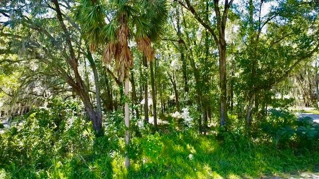 2790 NE 49TH AVE, OCALA, FL — photo 3