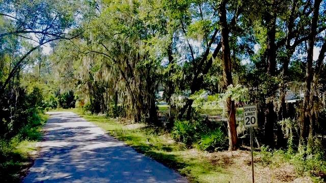 2790 NE 49TH AVE, OCALA, FL — photo 7