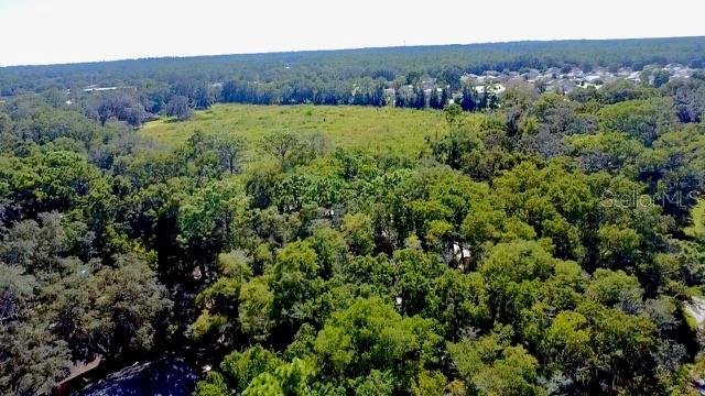 2790 NE 49TH AVE, OCALA, FL — photo 12