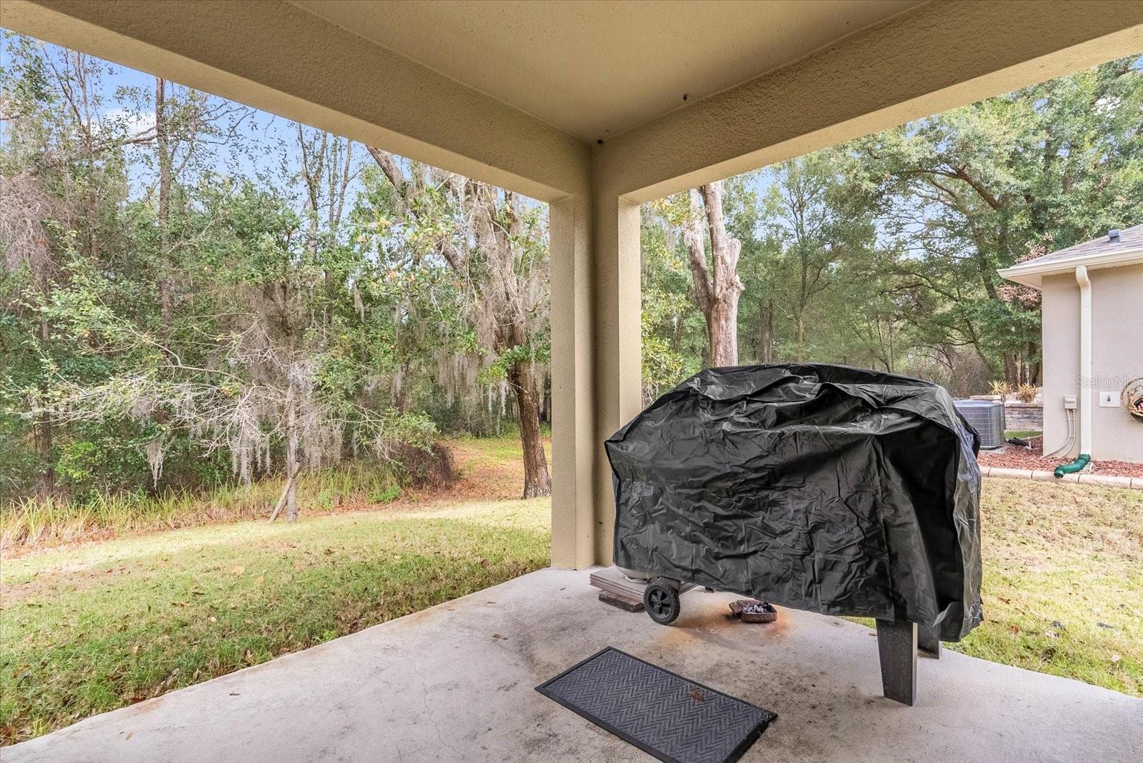 34625 SALERNO CIR, SORRENTO, FL — photo 50