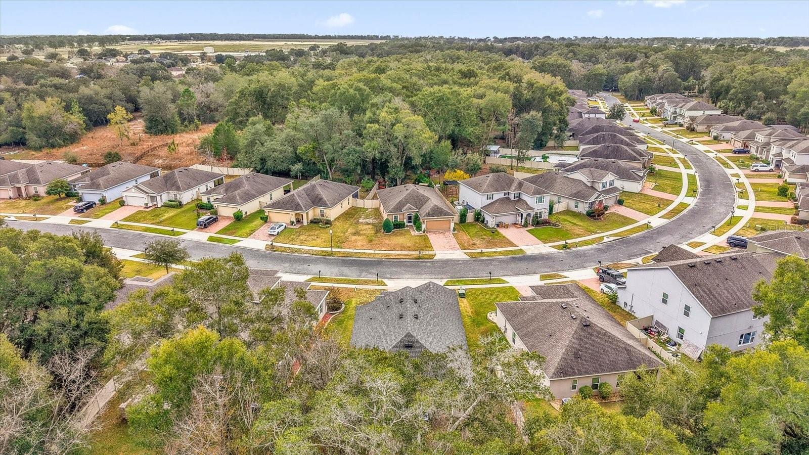 34625 SALERNO CIR, SORRENTO, FL — photo 56