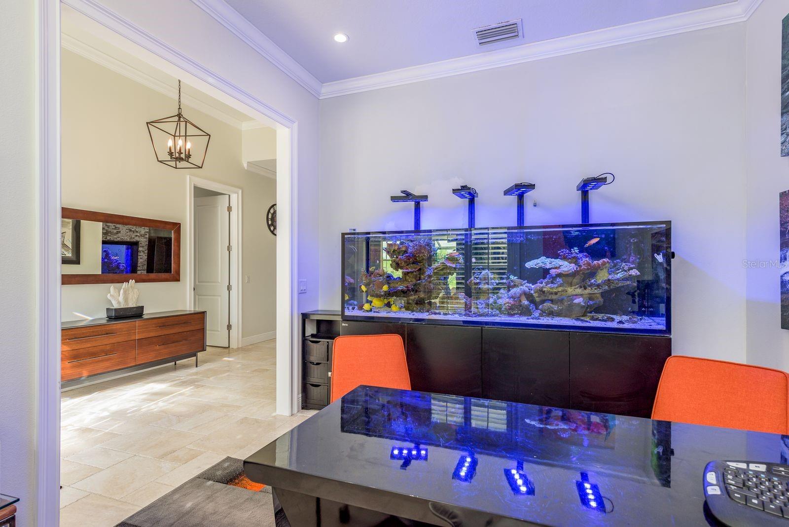 7811 BAY DR #A, TAMPA, FL — photo 40