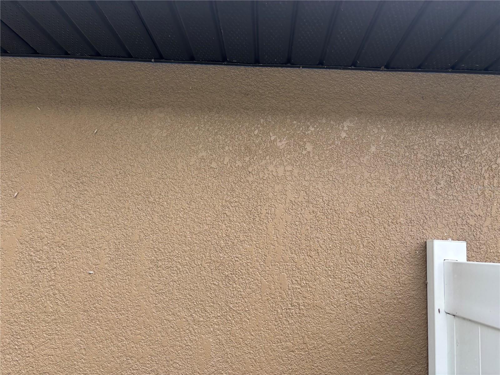 12214 LEGACY BRIGHT, RIVERVIEW, FL — photo 9